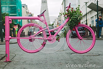 Pink Bicycle Gate in Reykjavik Streets