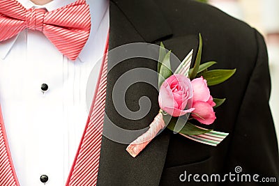 Pink and Black Tuxedo