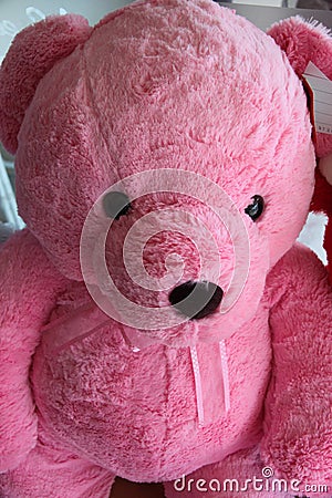 Pink teddy bear.