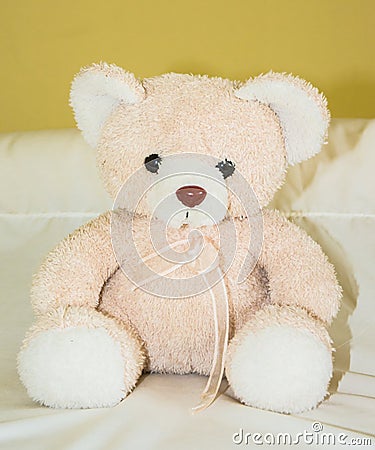 Pink teddy bear toy