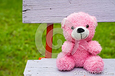 Pink teddy bear on a vintage bench