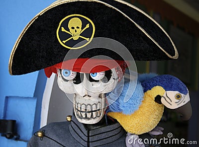 Pirate Skeleton with parrot