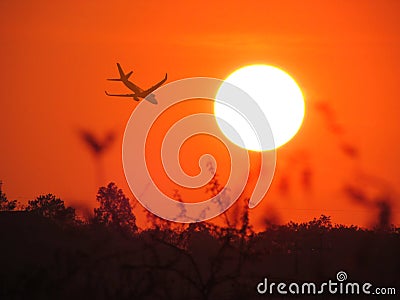 Plane landing over setting sun background