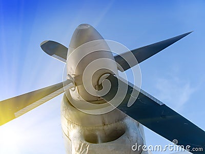 Plane propeller