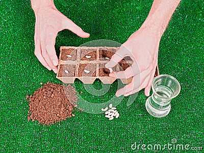 Planting Seeds with Hands