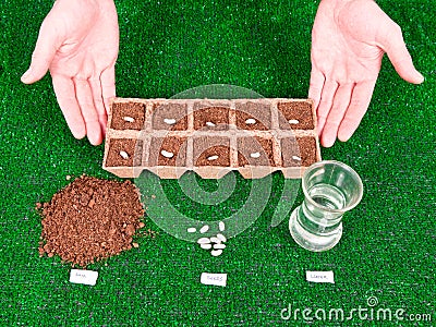 Planting Seeds with Hands