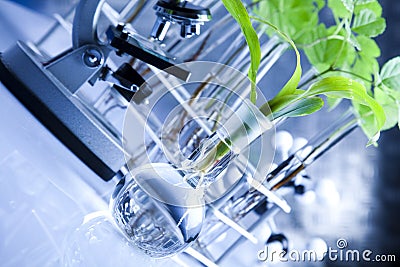 Plants and laboratory