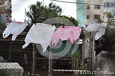 Plastic bags drying in the wind, havana, cuba