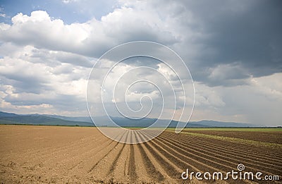 Plowed land prepared for new crops