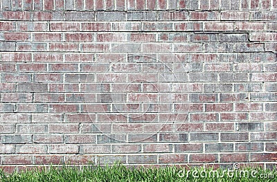 Plum color Brick Wall with Green Grass