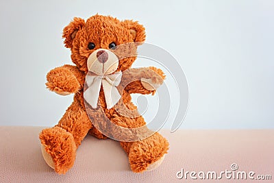 Plush Teddy Bear toy