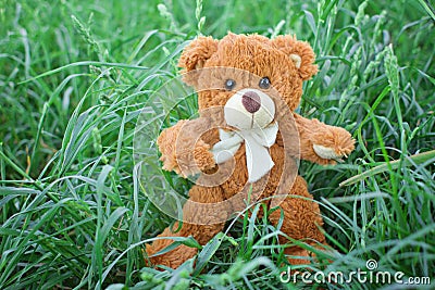 Plush Teddy Bear toy