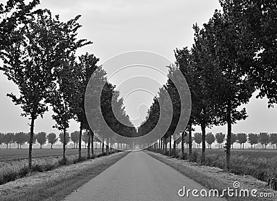 Polder landscape with straight road, B&W