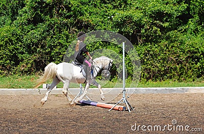 Pole on the ground training