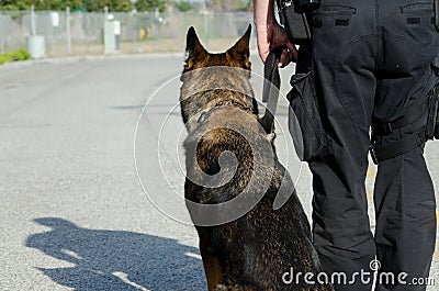 Police Dog