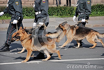 Police with dogs walking on the street