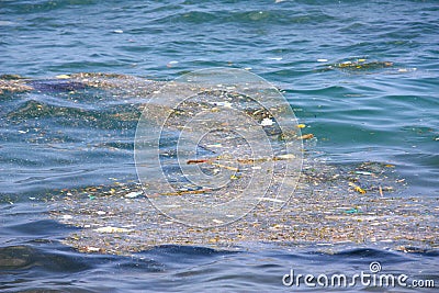 Polluted Water Stock Image - Image: 6513891