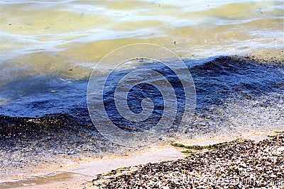 Polluted Water And Beach Royalty Free Stock 