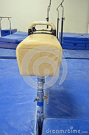 Pommel Horse end view