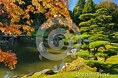 Pond and Fall Foliage in Japanese Garden