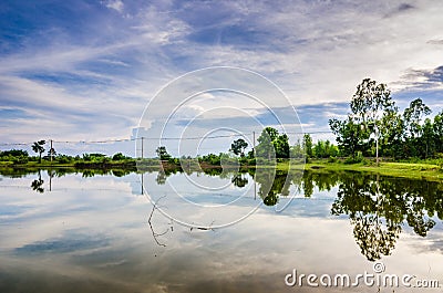 Pond in spring