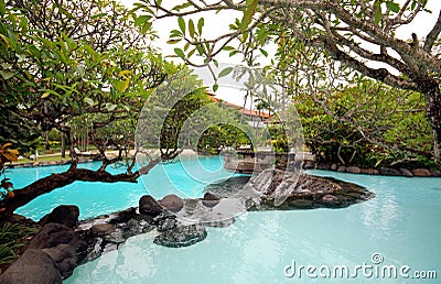 Pool with tropical plants in Bali, Indonesia