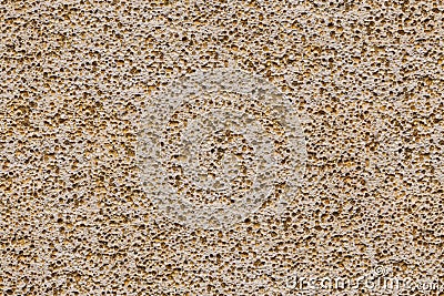 Porouse scrub texture seamless background, foam stone limestone