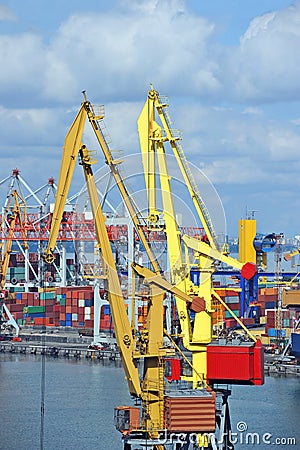 Port cargo crane and container