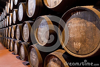 Port wine ages in barrels in cellar
