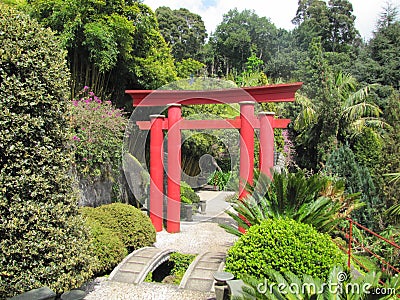 Porta de Torii do japons