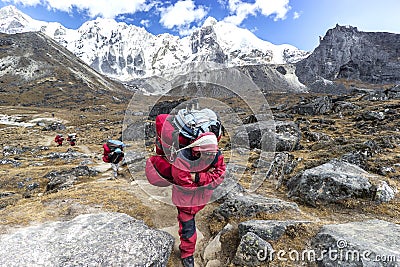 Porters with heavy load after crossing Cho La Pass in Himalayas.