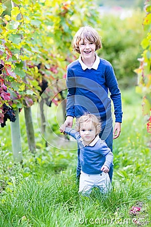 Portrait of boy with his baby sister in vine yard