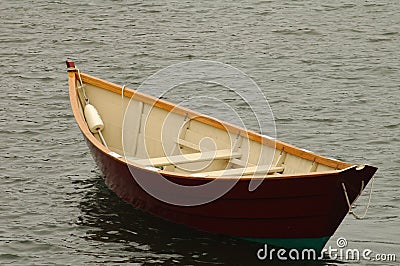 Stock Image: Portrait of Dory in Gray