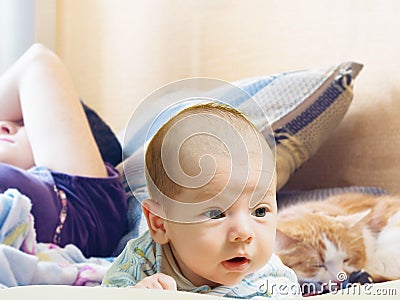 Portrait of face funny caucasian newborn toddler baby boy with sleeping mother and cat