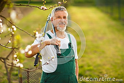 Portrait of a handsome senior man gardening in his garden