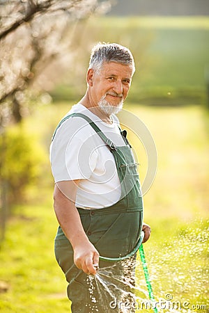 Portrait of a handsome senior man gardening in his garden