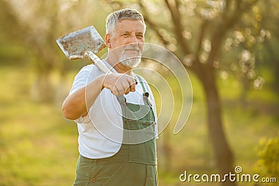 Portrait of a handsome senior man gardening in his garden