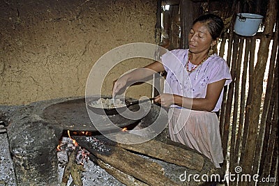 Portrait of indoor cooking Guatemalan woman