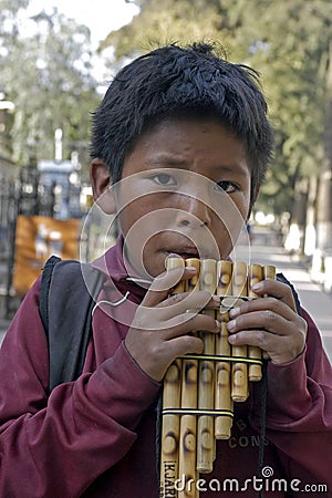 Portrait of musician, Bolivian boy, Bolivia