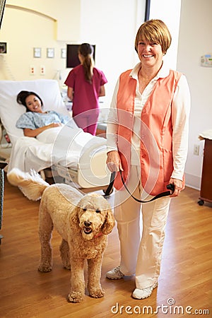 Portrait Of Pet Therapy Dog Visiting Female Patient In Hospital