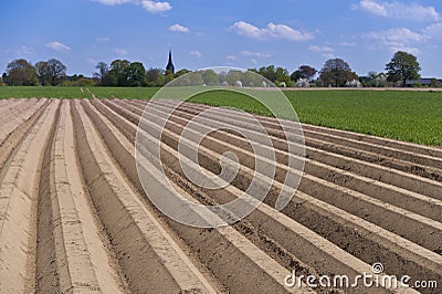 Potato field, freshly plowed