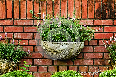 Potted for flowers with background