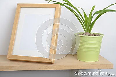 Potted plant on a shelf