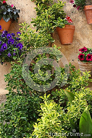 Potted plants and flowers in a garden