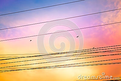 Power line