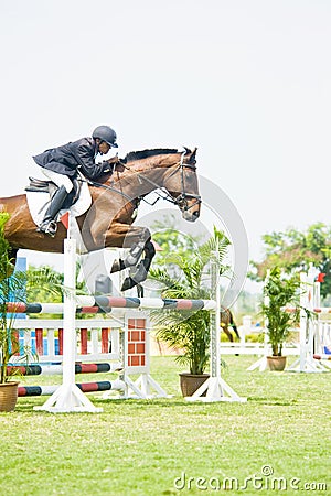 Premier Cup Equestrian Show Jumping