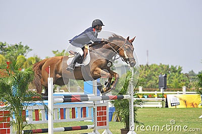 Premier Cup Equestrian Show Jumping