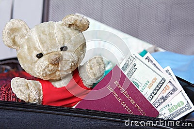 Prepare for traveling with old friend Teddy