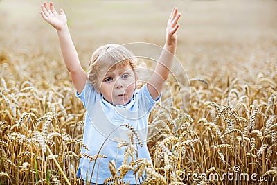 Preschool boy of 3 having fun in wheat field in summer