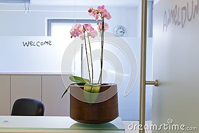 Privat Hospital, Clinical or medical practice waiting room